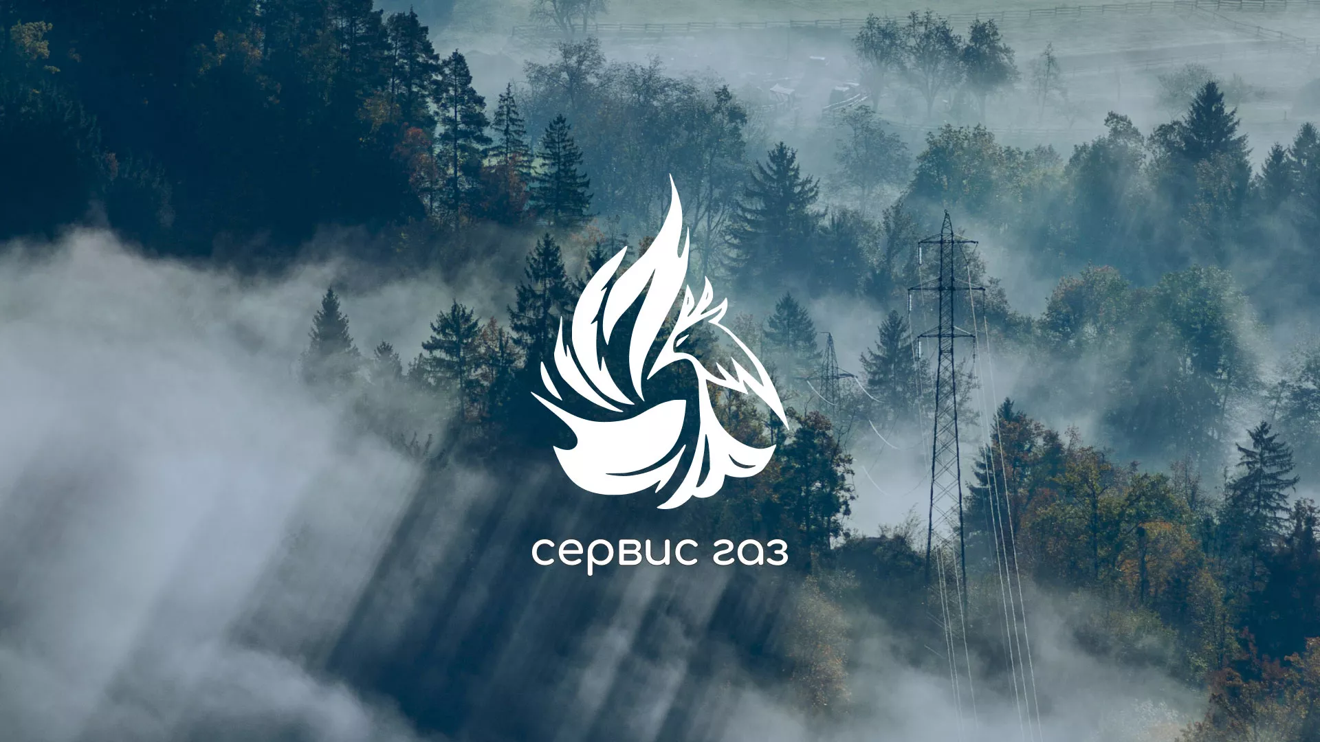 Создание сайта компании «Сервис газ» в Галиче