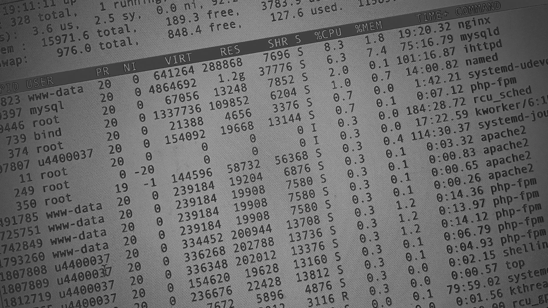 Настройка сервера в Галиче