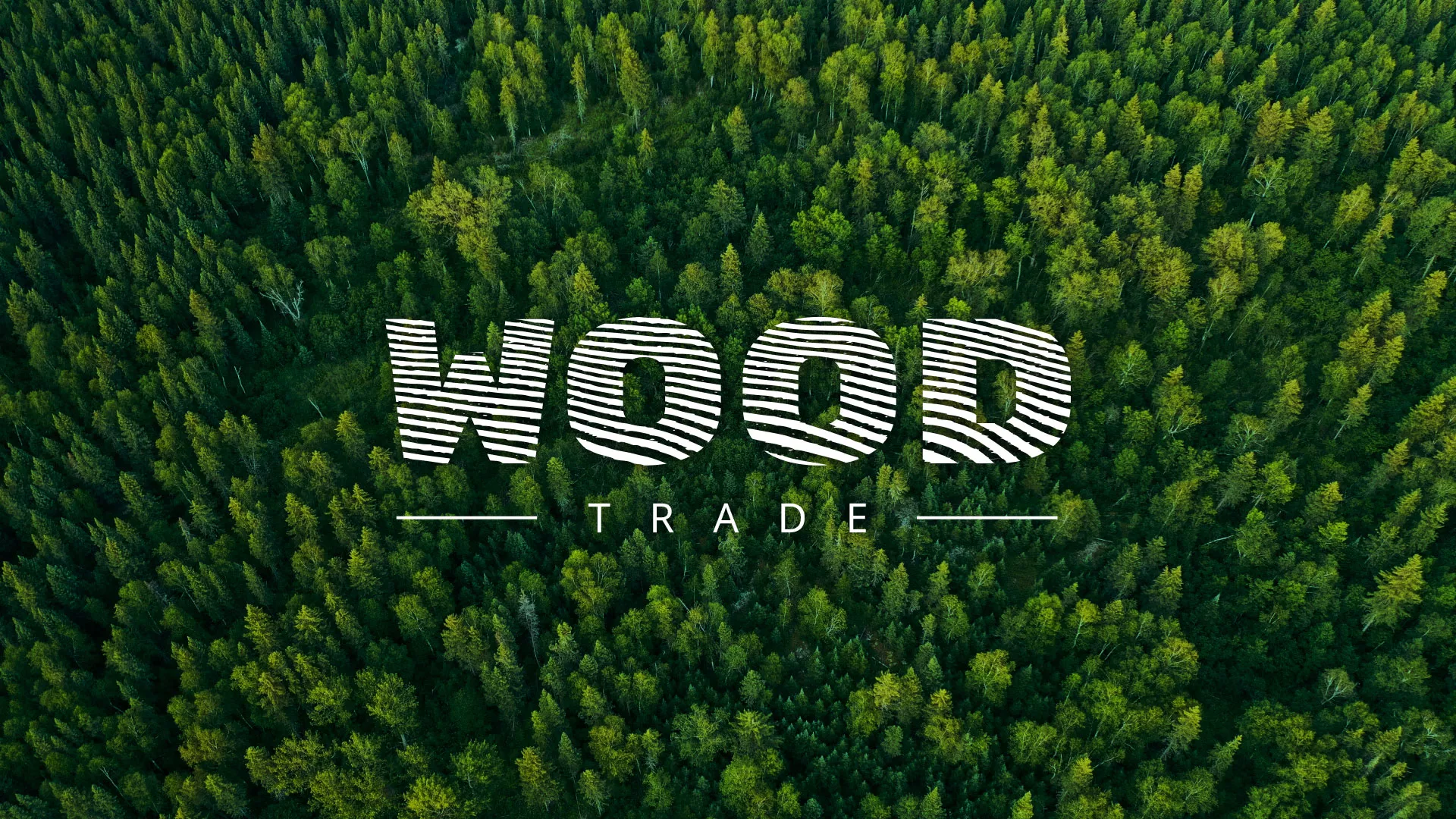Разработка интернет-магазина компании «Wood Trade» в Галиче